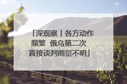 深观察丨各方动作频繁  俄乌第二次直接谈判前景不明